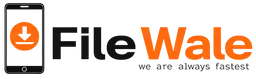 Filewale Silver Plan (Offer) 